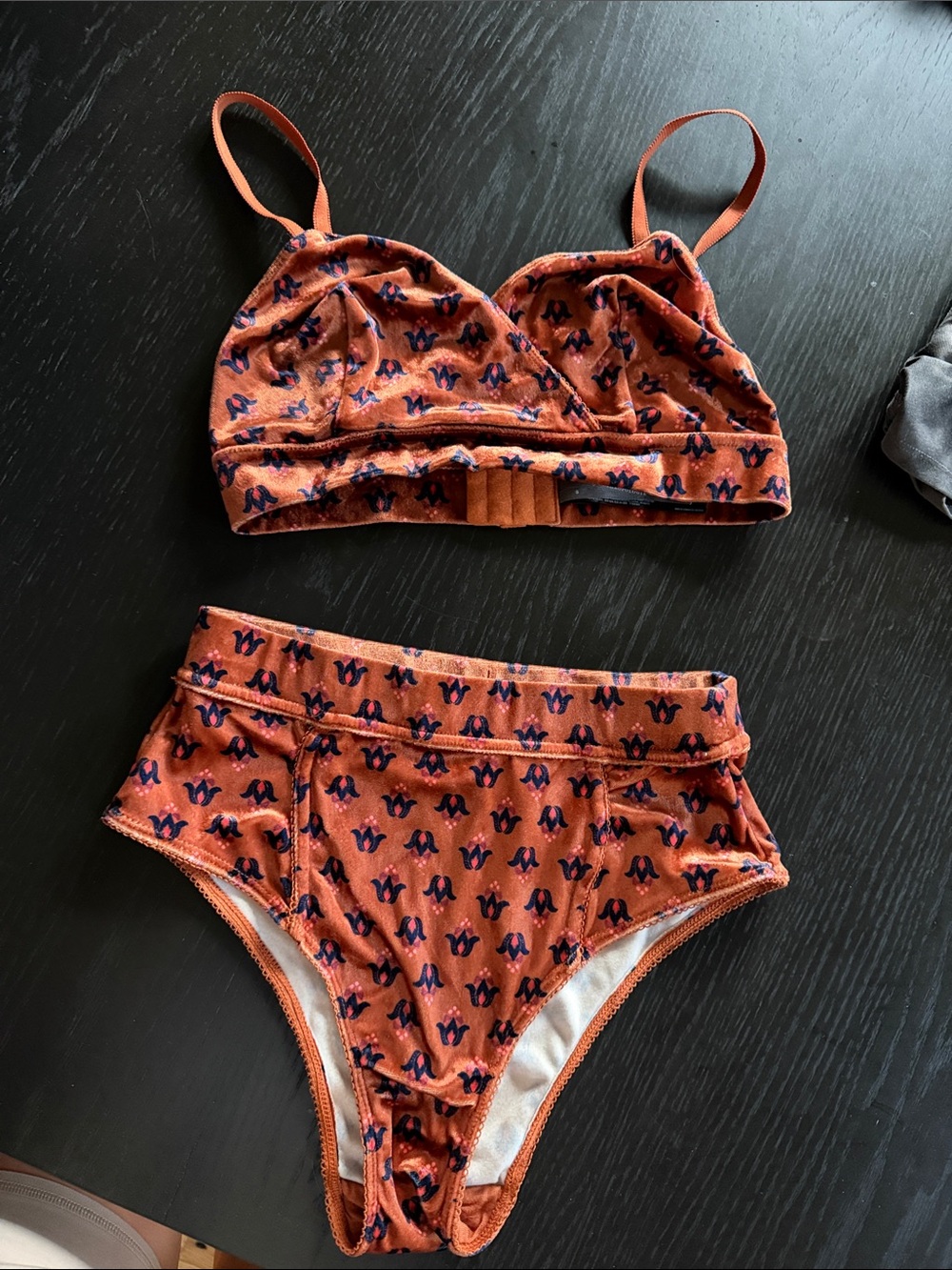 Anthropologie Orange Velvet Bralette and High-Waist Briefs with Navy Motif